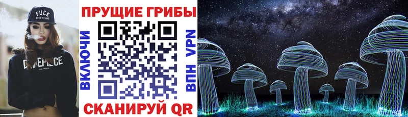 Купить закладки  Брюховецкая  Псилоцибиновые грибы Psilocybine cubensis 